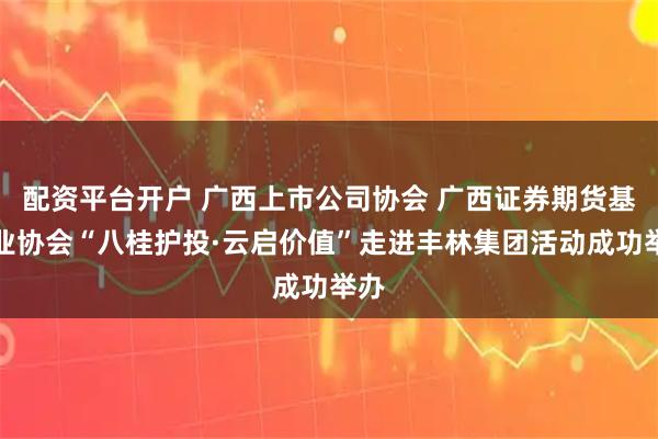 配资平台开户 广西上市公司协会 广西证券期货基金业协会“八桂护投·云启价值”走进丰林集团活动成功举办