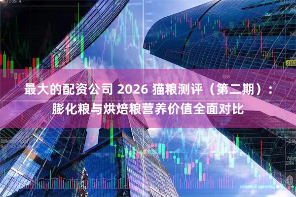 最大的配资公司 2026 猫粮测评（第二期）：膨化粮与烘焙粮营养价值全面对比